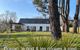Ty Glazu Doelan Espace 60M2, Port& Criques A Pied, 2 Chambres Privees Au 1Er Etage, Sdb, Wc Separe