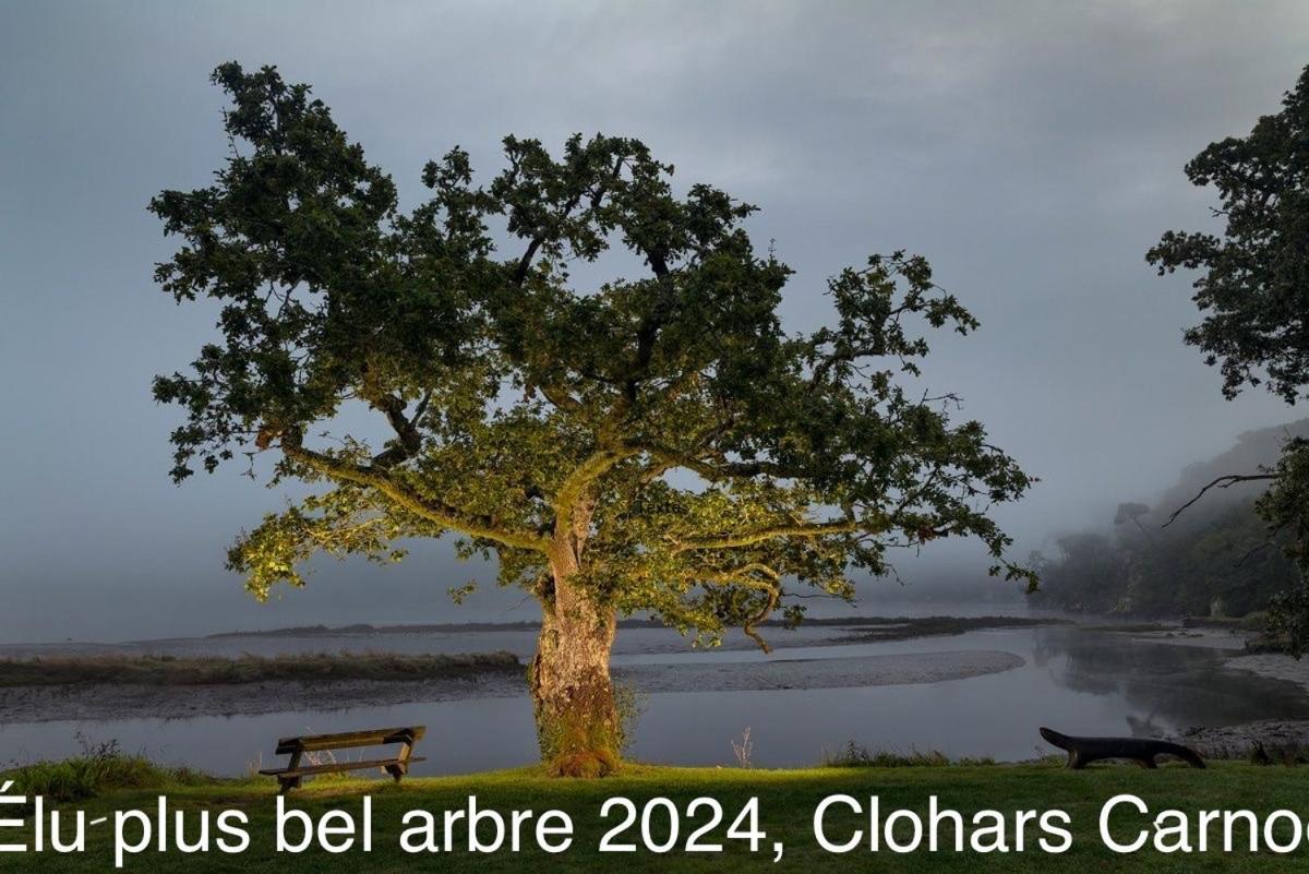 Ty Glazu Doelan Espace 60M2, Port& Criques A Pied, 2 Chambres Privees Au 1Er Etage, Sdb, Wc Separe Clohars-Carnoët Extérieur photo